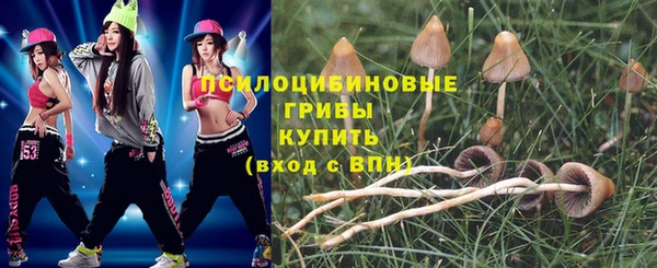 мескалин Алексин