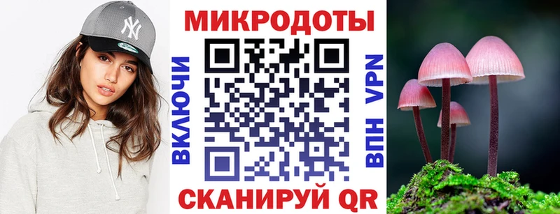 OMG ONION  Гвардейск  Галлюциногенные грибы мухоморы 